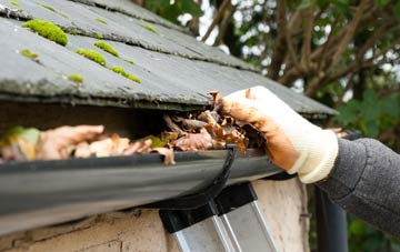 gutter cleaning Forest Gate